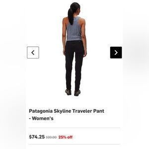 Patagonia SkylineTraveler Pants Size 2